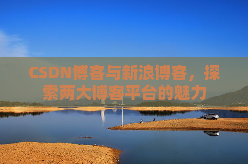CSDN博客与新浪博客，探索两大博客平台的魅力
